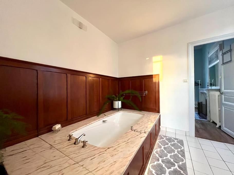 La Demeure De Margot - 24 Couchages Villa Villeneuve-sur-Yonne Exteriör bild